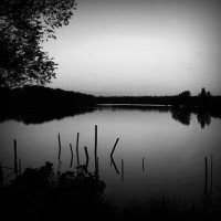 /album/recorrido-por-el-vino/photolia-b01-jpg/